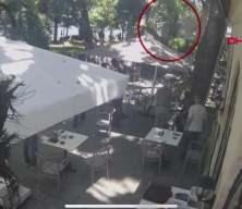 Çınar ağacının altında kalan öğretmenin hayatını kaybetti