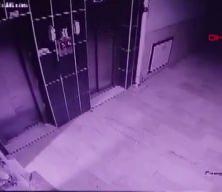 Konya'da hamile kediyi yere fırlatan insan müsveddesi gözaltına alındı