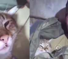Şehit Özkan Özkanlı’dan geriye kalan görüntüler duygulandırdı