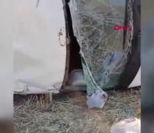 Diyarbakır’da minibüs şarampole devrildi, çok sayıda yaralı var