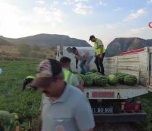 Fiyatlara Kızdılar 50 Ton Bedava Karpuz Dağıttılar!