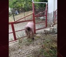 İmam Emrullah Ardo'dan komşuluk örneği! Hadis-i şerifi hatırlatarak o anları paylaştı 