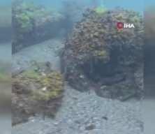 Karadeniz açıklarında bulunan mayın kontrollü şekilde imha edildi
