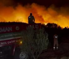 Tekirdağ'da anız yangını ormana sıçradı