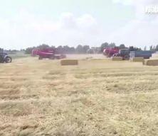 827 milyon liralık destek çiftçilerin hesabında