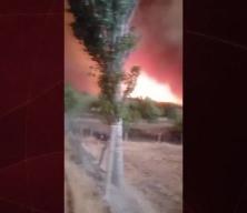 Sakarya'da orman yangınına müdahale devam ediyor