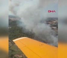 Antalya'da 2 ayrı orman yangını 