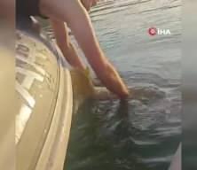 Malatya'da oltasına takılan dev balığı görünce sevinçten havalara uçtu!