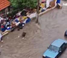 Denizli'de sağanak çilesi!