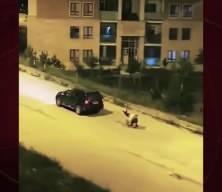 Eşeğe işkence eden cani böyle görüntülendi