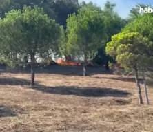 Çatalca'da 2 bölgede çıkan yangına müdahale ediliyor
