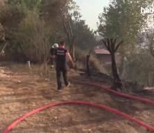 Hatay, Osmaniye, Mersin ve Adana'da çıkan orman yangınlarıyla mücadele sürüyor