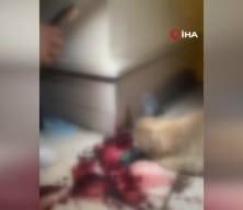 Kendisine saldıran sokak köpeğini silahla vurdu! Ses mama lobisinden çıktı