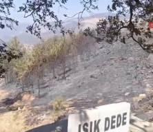 Mersin’deki orman yangınında inanılmaz görüntü: Alevler Işık Dede’ye gelince durdu