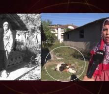 22 yıllık emek bir gecede yok oldu! Başıbpş köpek terörü devam ediyor