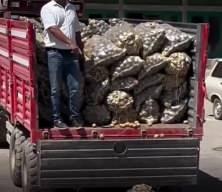 Algı operasyonu bozuldu! Patates oyunu deşifre oldu!