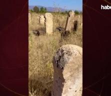 Asırlık Türkmen Mezarlığı bakımsızlığa terk edildi