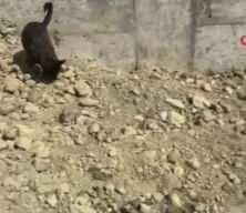 Büyükçekmece'de boş villada gömülü ceset, kayıp Nametullah S.’ye ait çıktı
