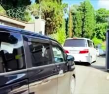 Demirözler organize suç örgütü elebaşı kıskıvrak yakalandı yurda getirildi