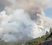 Denizli Pamukkale’de orman yangınına ilişkin 1 kişi gözaltında