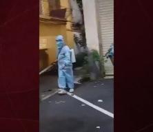 Hong Kong chikungunya virüsü ile mücadelesinde robot köpekleri kullanacak