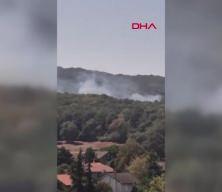İstanbul'da bir orman yangını daha çıktı