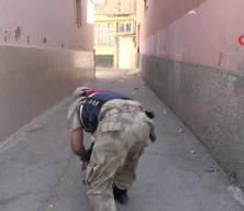 Kilis’te 2 yaşındaki Arıc Aljaroukh kayboldu: Ekipler seferber oldu