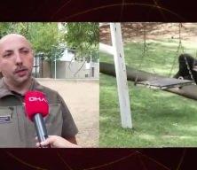 Yurda kaçak yollarla getirilen yavru goril 'Zeytin' Nijerya'ya gönderiliyor