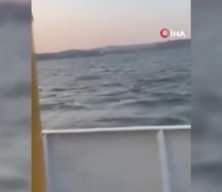 Feribottan denize atlayan yolcunun görüntüleri ortaya çıktı