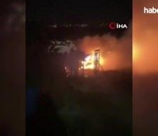 İsrail Batı Şeria’da zeytinlikleri yok ediyor