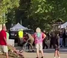 ABD'nin Pensilvanya eyaletinde sürücünün aracıyla festivale gelenlerin arasına dalması sonucu 2 kişi yaralandı