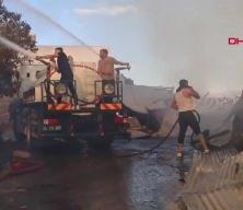 Alevlerin arasına girip kediyi kurtardı