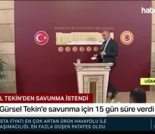 CHP’de Gürsel Tekin krizi: 15 günlük savunma süresi