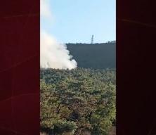 İstanbul'da orman yangını
