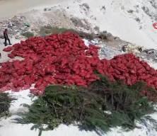 Karaman’da tonlarca soğan boş araziye atıldı