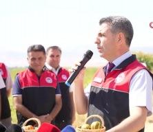 Muş’ta 40 bin dekar karpuz hasadı başladı, 2 milyar lira gelir bekleniyor