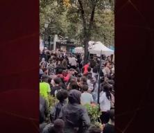 Avrupa ülkesinde bedava tavuk izdihamı