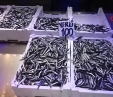 Trabzon'da hamsinin kilogramı 100 liradan satışa sunuldu