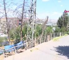 Yerde hareketsiz yatan keçiye dokununca akıma kapılıp öldü