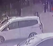 3 yaşındaki çocuğu köpekler kovaladı