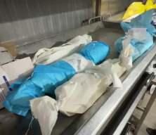 Gazze'de açlıktan ölümler artıyor: Son 24 saatte 3 kayıp daha