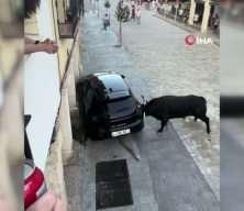 Kızgın boğa terör estirdi! Aracı paramparça etti!
