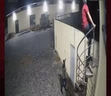 Meksika'da akılalmaz  soygun girişimi! Güvenlik görevlisi hırsızlara acımadı