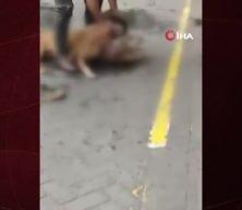 Gaziosmanpaşa’da pitbullun saldırdığı köpek öldü