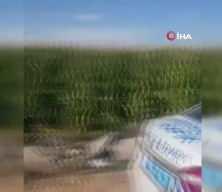 Harran’da otomobil kazası: 1 ölü, 1 yaralı