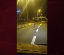 Tunceli’de kara yoluna inen bozayı kamerada