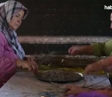 Osmaniye'de ekonomiye kazandırılan lavanta bahçesi kadınlara gelir kapısı oldu