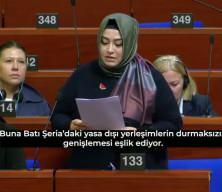 Türk heyetini suçlamaya kalkan Alman vekile tokat gibi cevap: Bu bir maç değil, soykırım