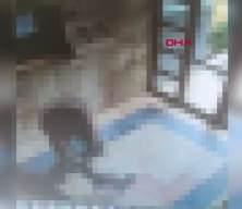 Başakşehir'de kediye işkence yapan sanığa 3 yıl 8 ay hapis cezası