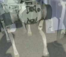 Bites’in geliştirdiği Tazı robotu özel kuvvetlerde görevde
